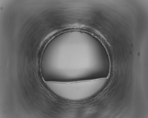 X0000087591315200704271100