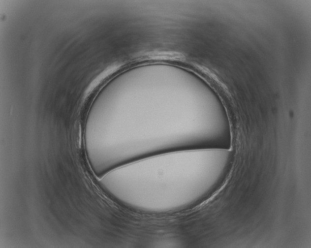 X0000087591317200704271100