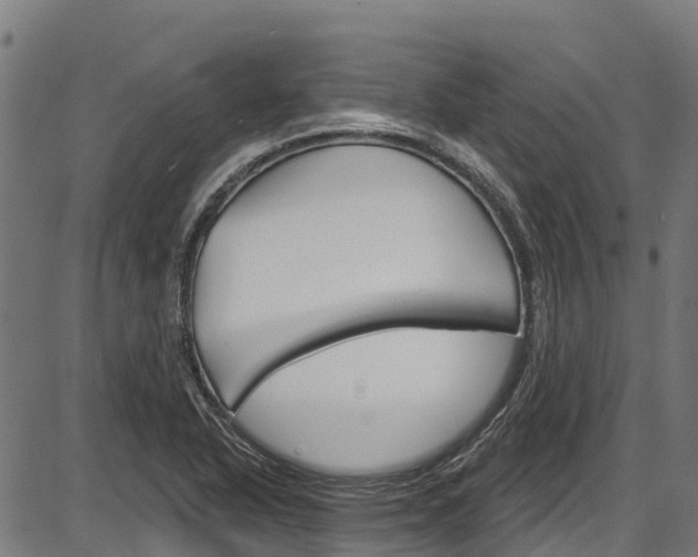 X0000087591318200704271100