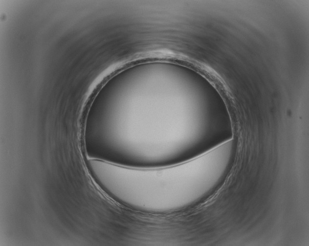 X0000087591326200704271100