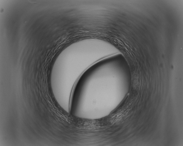 X0000087591345200704271100