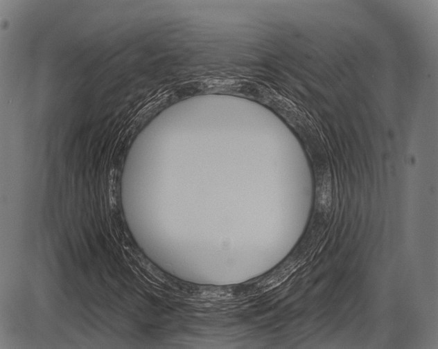 X0000087591346200704271100