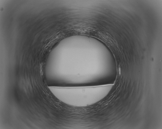 X0000087591347200704271100
