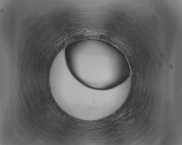 X0000087591348200704271100