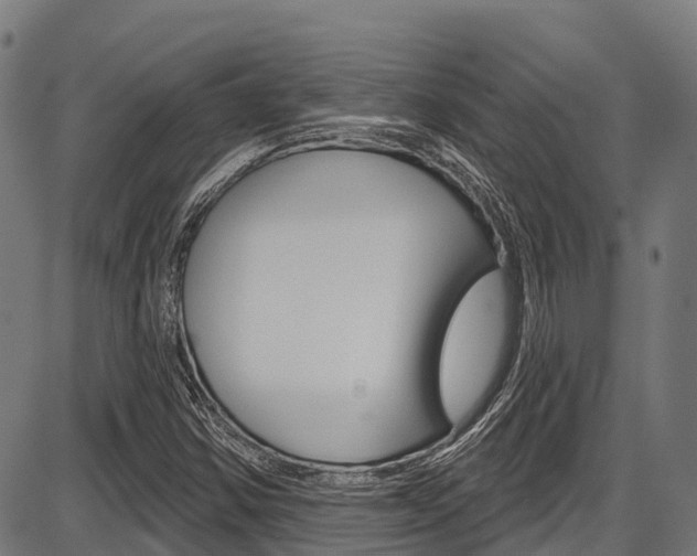 X0000087591354200704271100