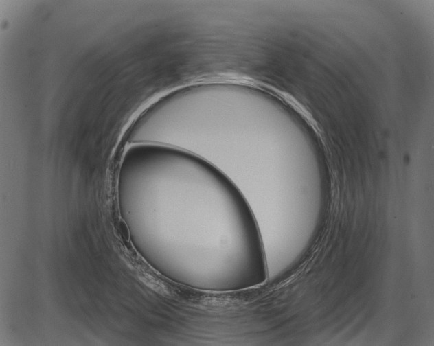 X0000087591364200704271059