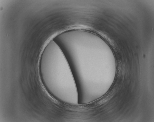 X0000087591375200704271059