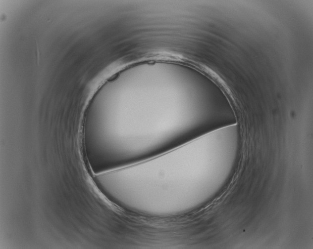 X0000087591379200704271059