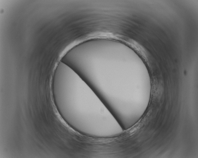 X0000087591382200704271059