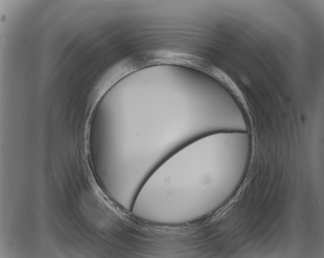 X0000087591386200704271059