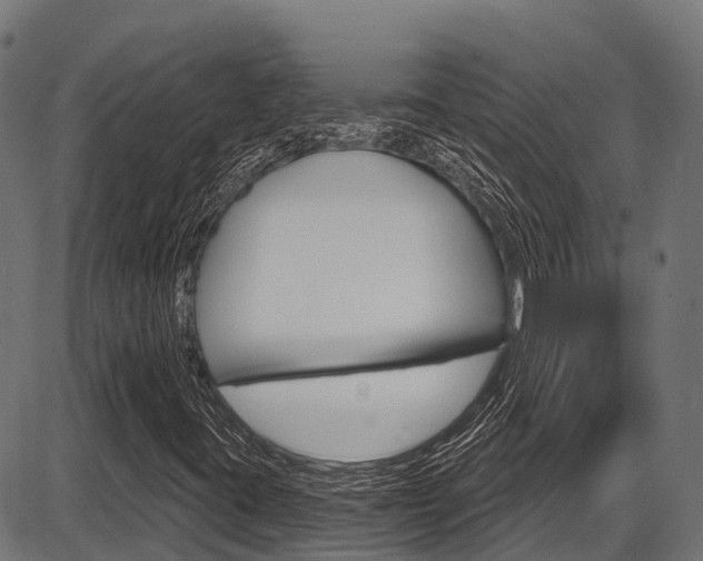 X0000087591395200704271058