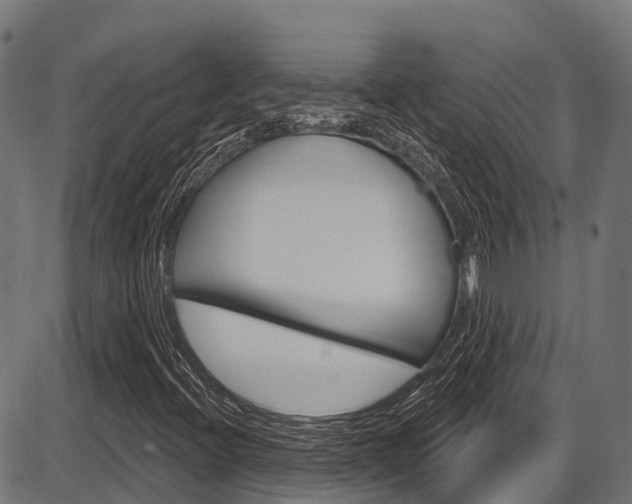 X0000087591396200704271058