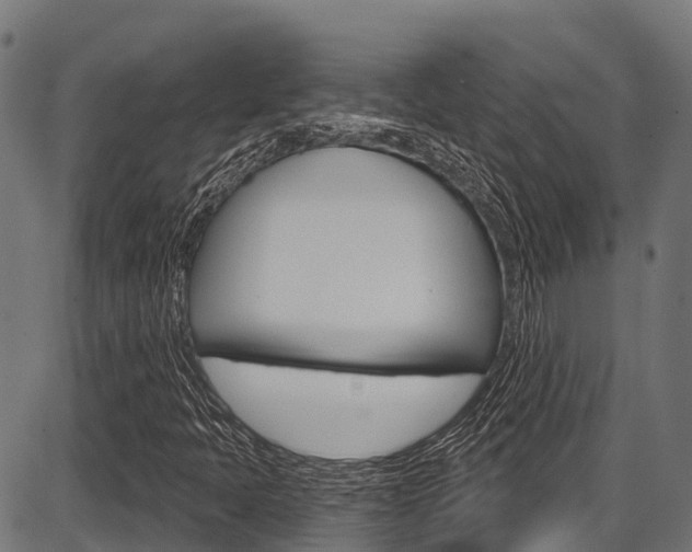 X0000087591397200704271058