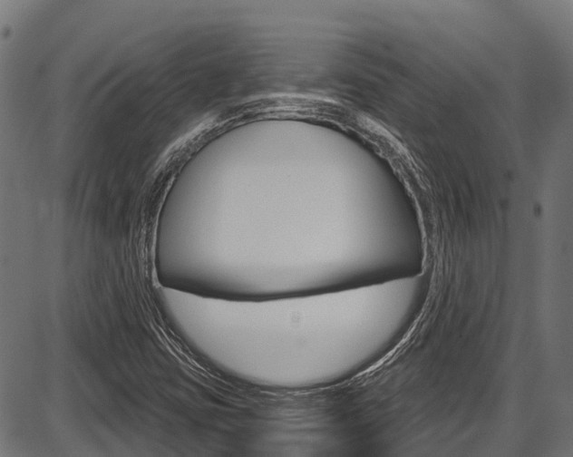 X0000087591403200704271058