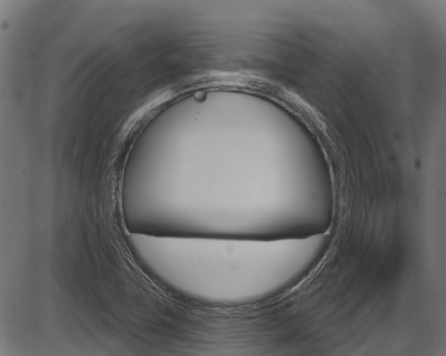 X0000087591411200704271059