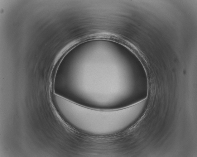 X0000087591418200704271059
