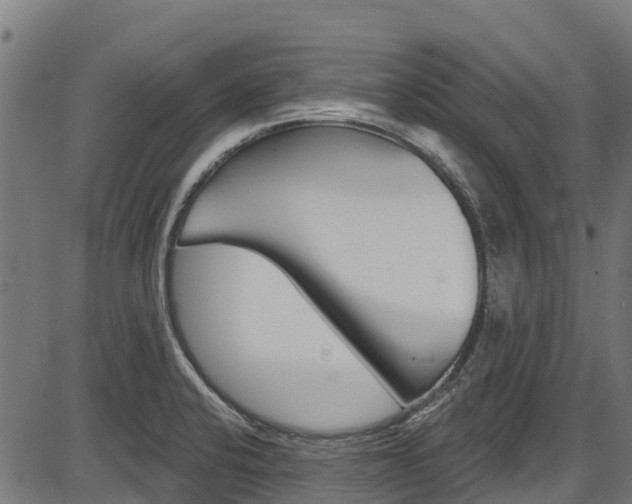 X0000087591424200704271059