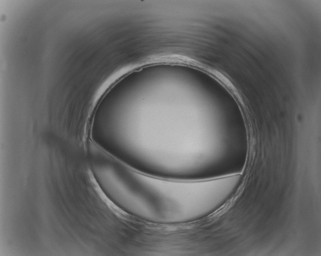 X0000087591438200704271059