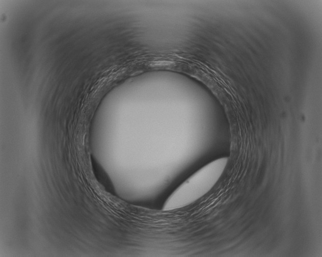 X0000087591441200704271058