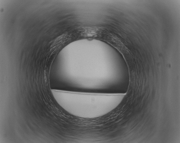 X0000087591442200704271058