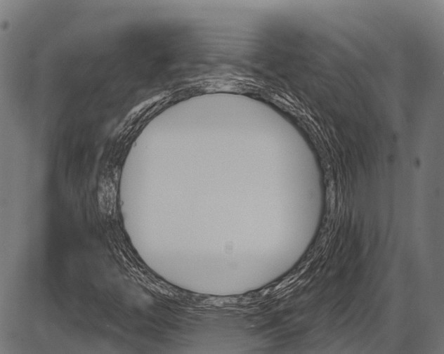 X0000087591446200704271058