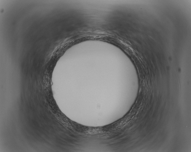 X0000087591447200704271058