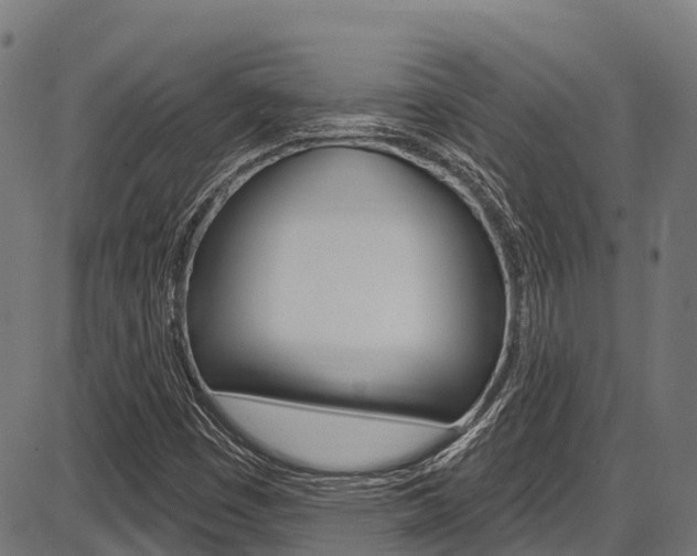 X0000087591449200704271058