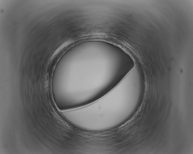 X0000087591450200704271058