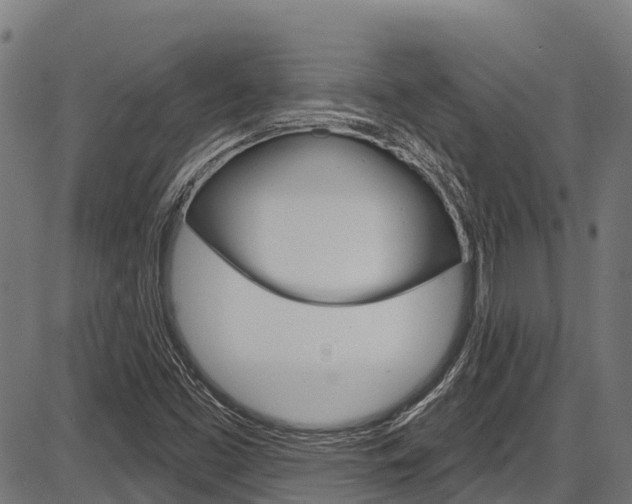 X0000087591453200704271058