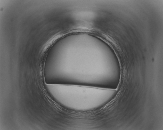 X0000087591455200704271058