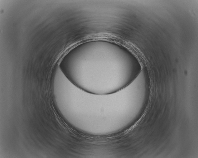 X0000087591457200704271058