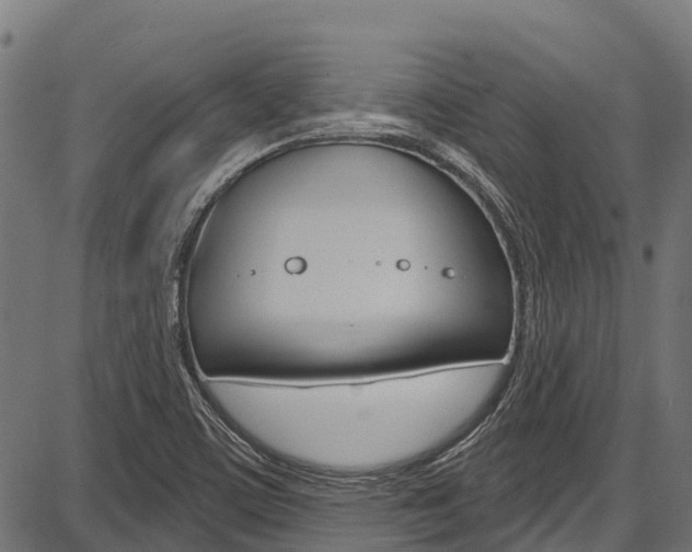 X0000087591459200704271058