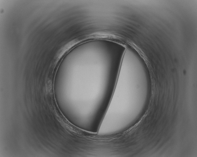 X0000087591465200704271058