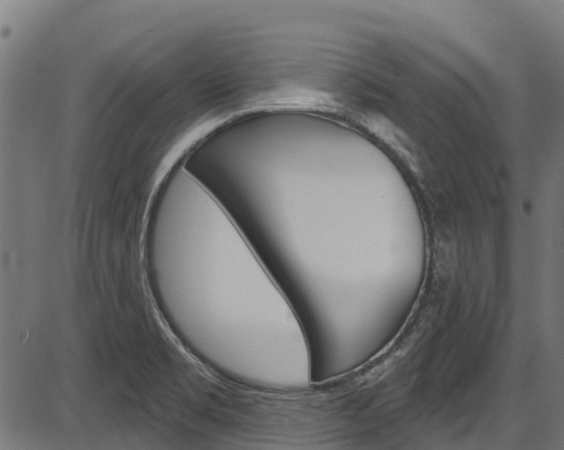 X0000087591469200704271058
