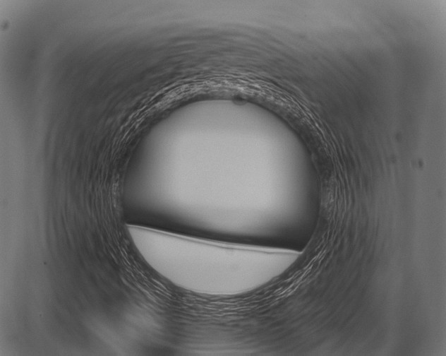 X0000087591490200704271057