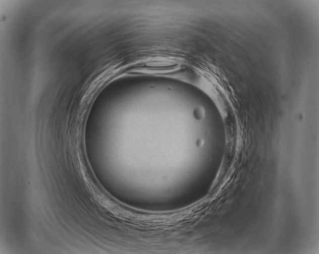 X0000087590001200704271319