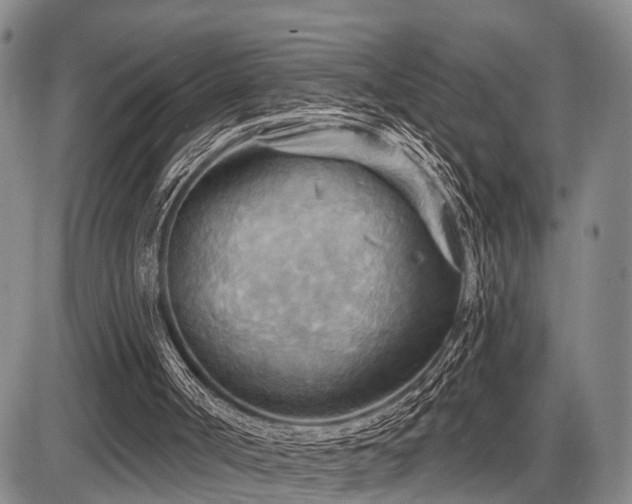 X0000087590002200704271319