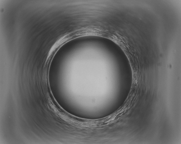 X0000087590004200704271319