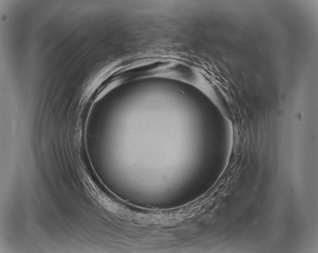 X0000087590005200704271319