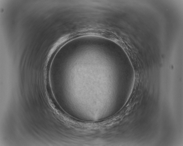 X0000087590006200704271319