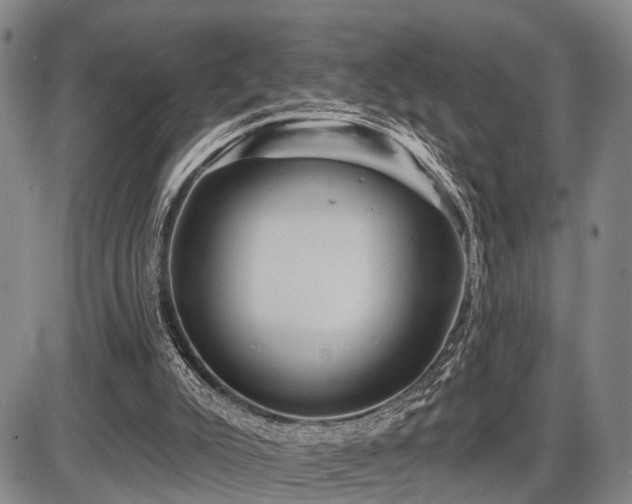 X0000087590007200704271319