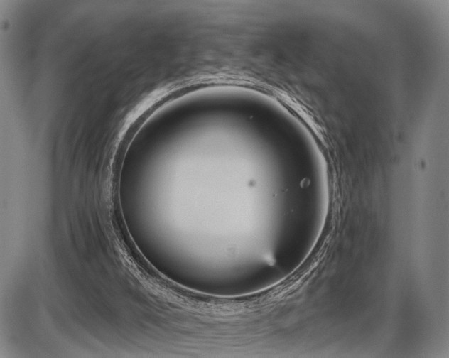 X0000087590008200704271319