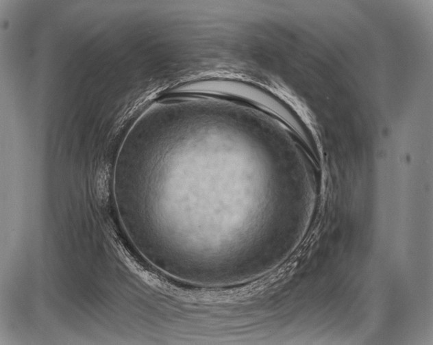 X0000087590009200704271319