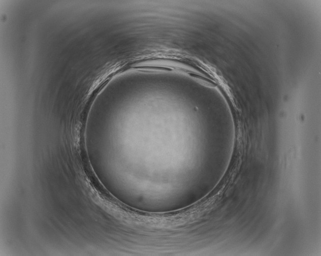 X0000087590010200704271319