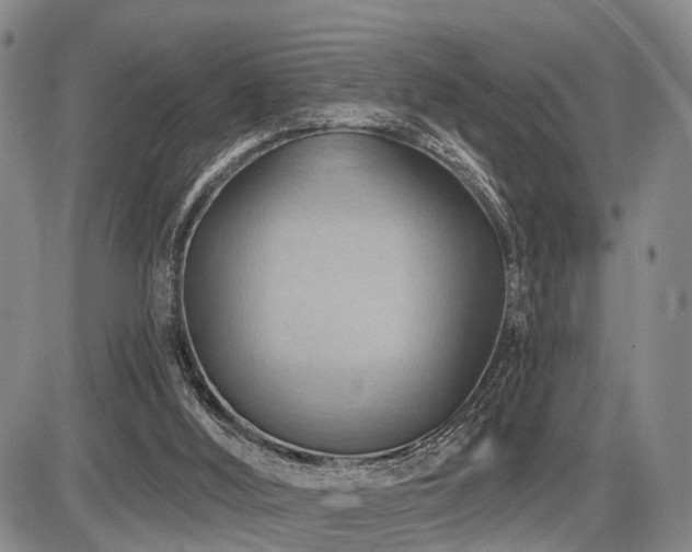 X0000087590012200704271319