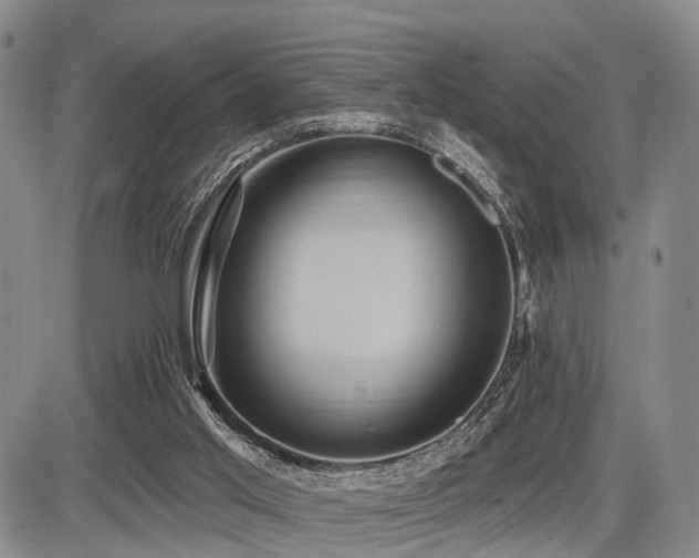 X0000087590013200704271319