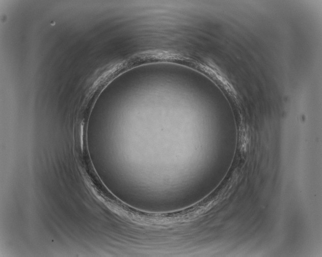 X0000087590014200704271319