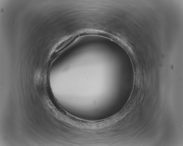 X0000087590015200704271319