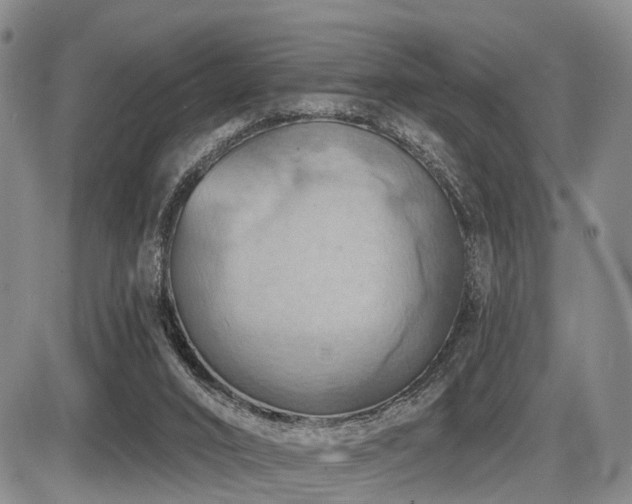 X0000087590016200704271319