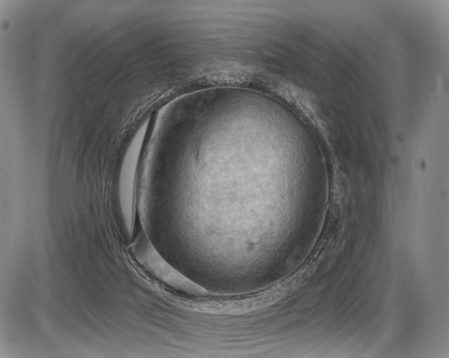 X0000087590017200704271319